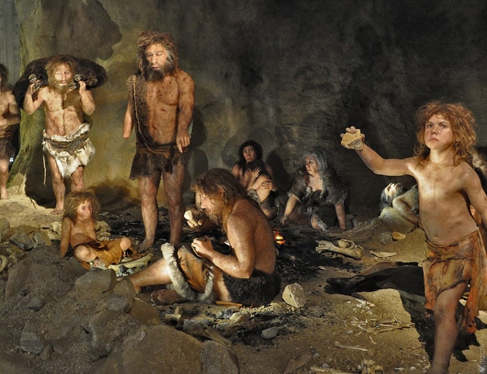 Neanderthals. Who are they and what do we know about them