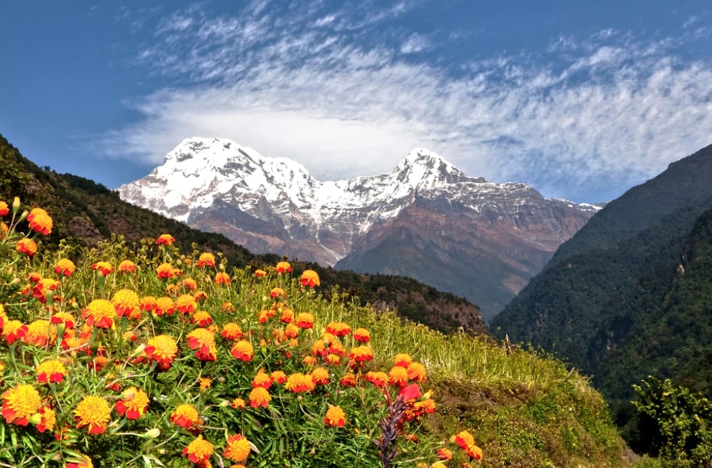 Walk though the grassland of Annapurna Base Camp