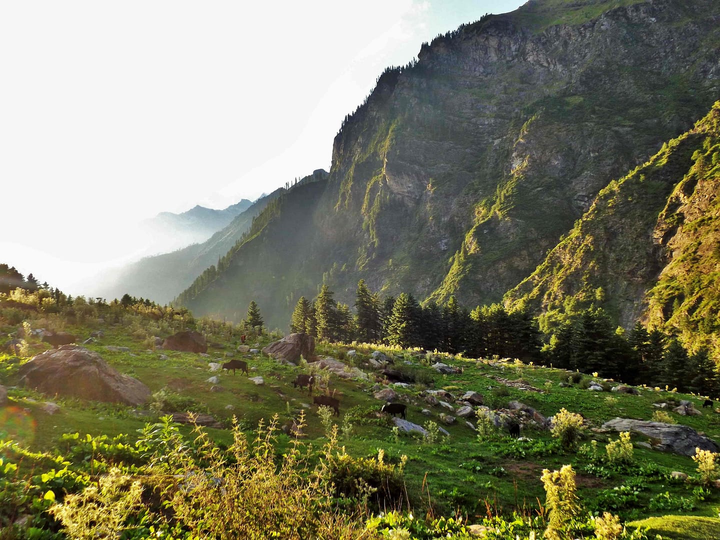 kasol_to_kheerganga__cpozp