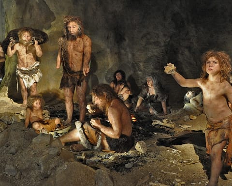 Neanderthals. Who are they and what do we know about them