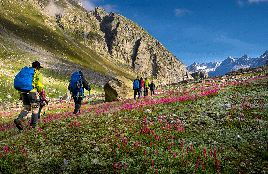 shutterstock_1518801341-manali