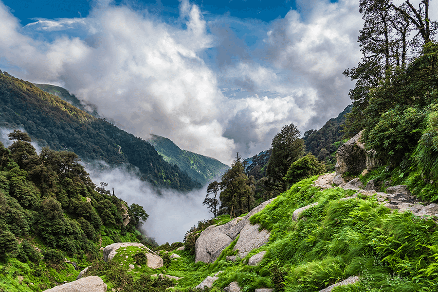 shutterstock_1504645868-mcleodganj