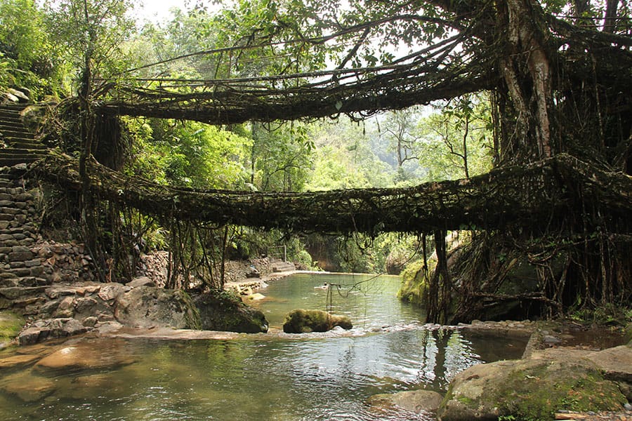 living_root_bridges_nongriat_village_meghalaya2