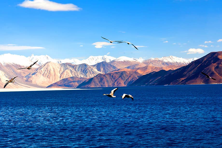 moriri-lake-ladakh